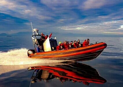 Parksville Half Day Whale & Wildlife Private Charter