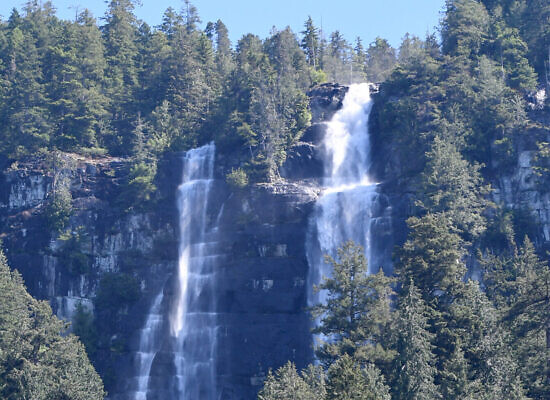 Parksville Waterfalls, Whales, Wildlife & Tidal Rapids