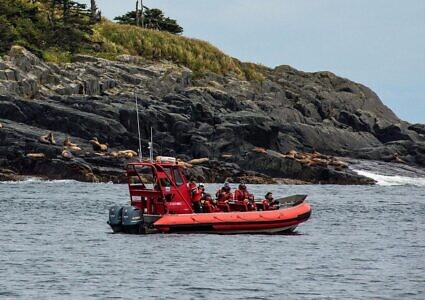Parksville Half Day Whale & Wildlife Private Charter