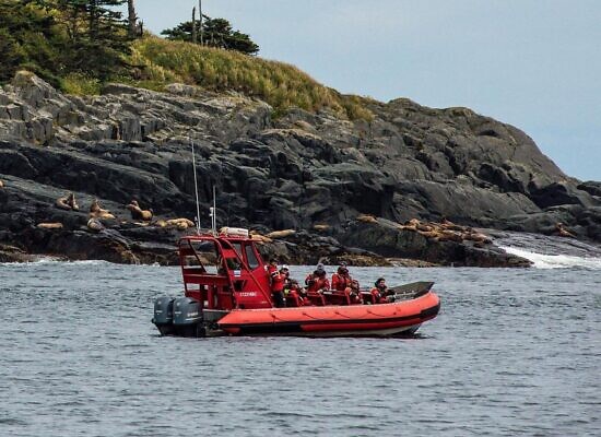 Parksville Half Day Whale & Wildlife Private Charter